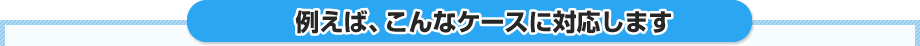 例えば、こんなケースに対応します